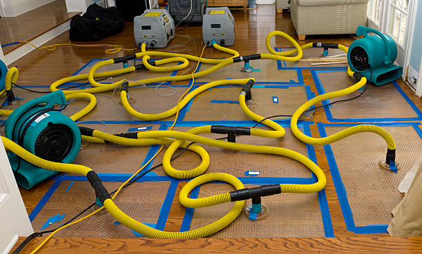 Professional Basement Flood Cleanup technician working in Tacoma, WA